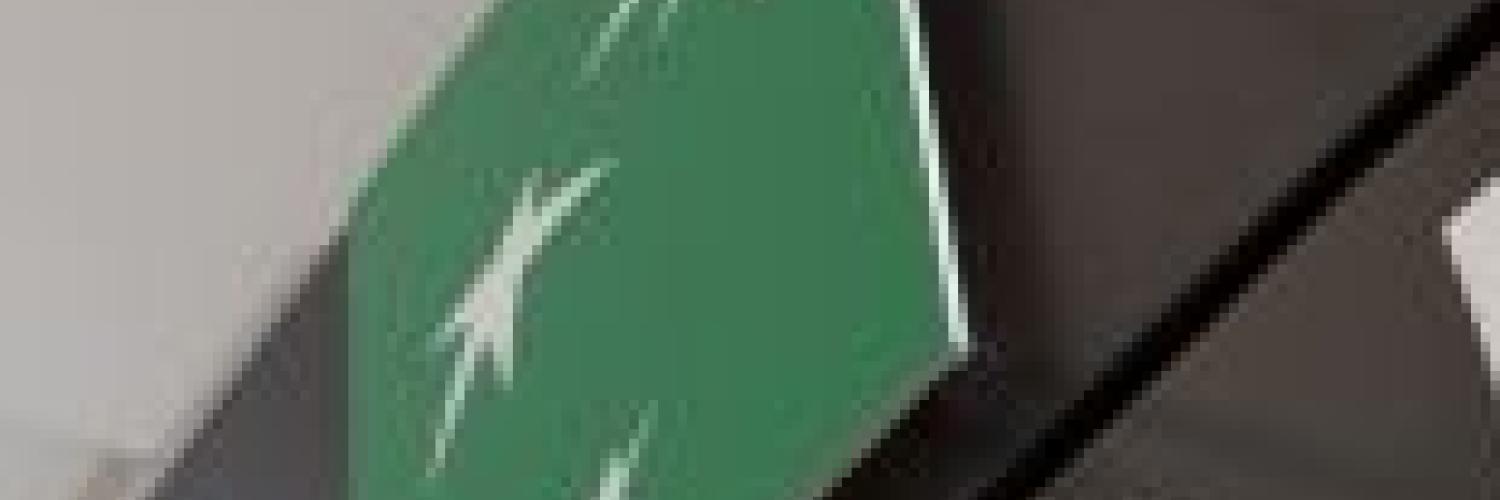 Beschreibung von Arval Beschreibung von Arval