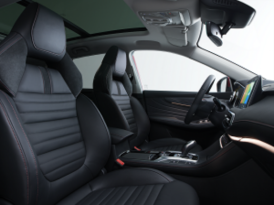 EHS Luxury innen